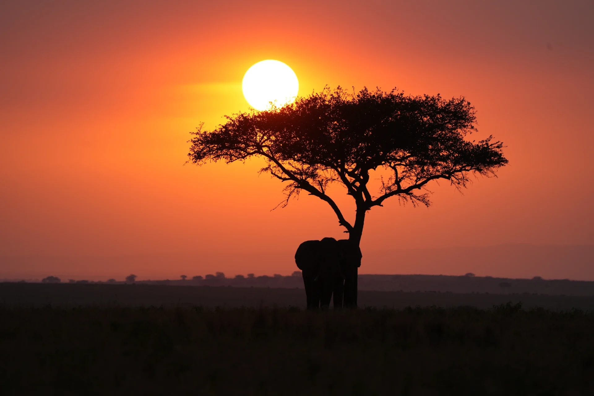 Guests on a game drive with a Rioba Safaris guide