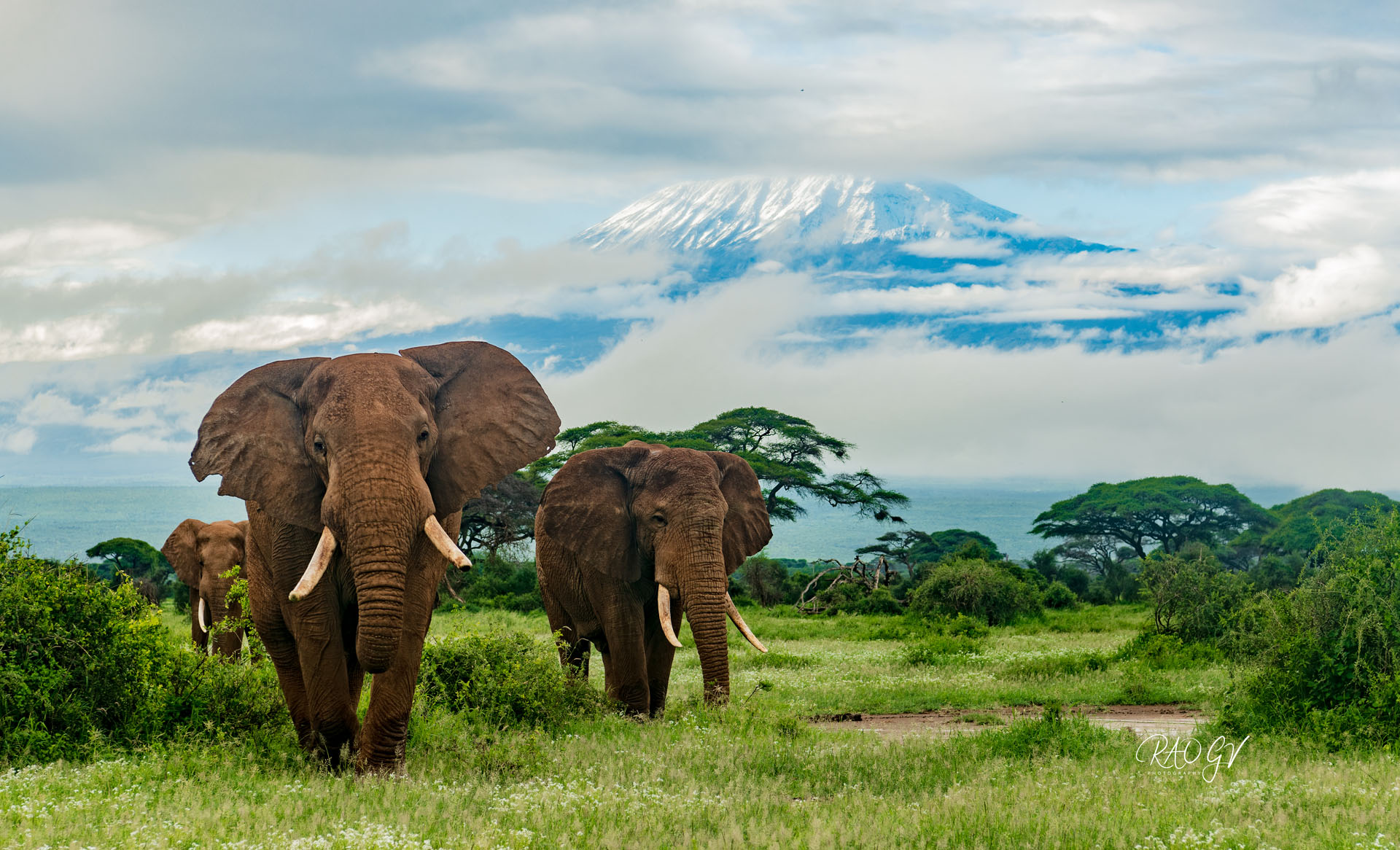 Amboseli National Park