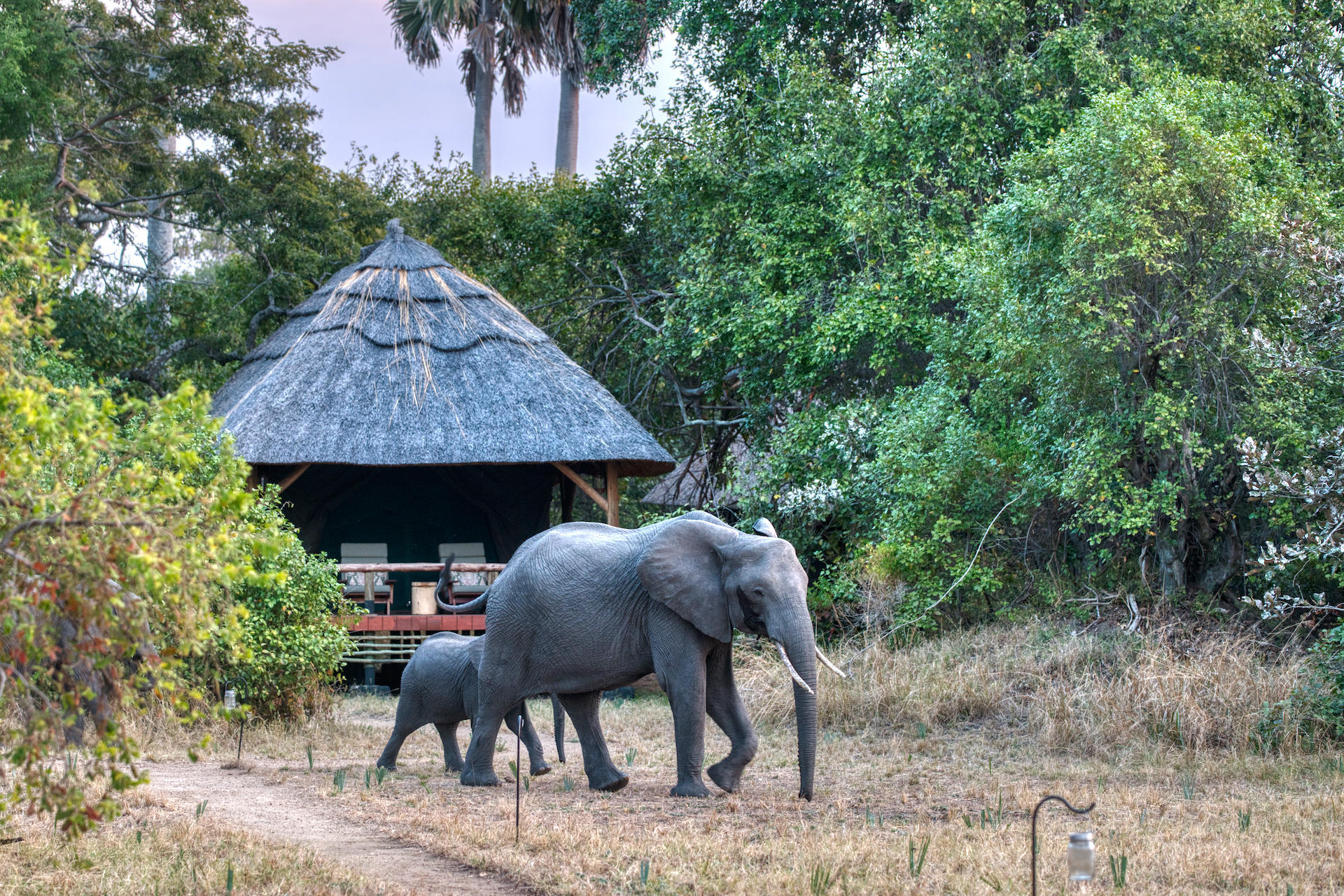 Katavi National Park