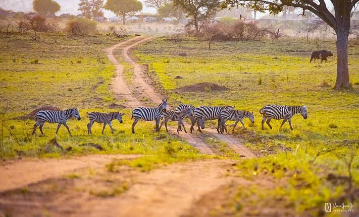 Kidepo Valley National Park