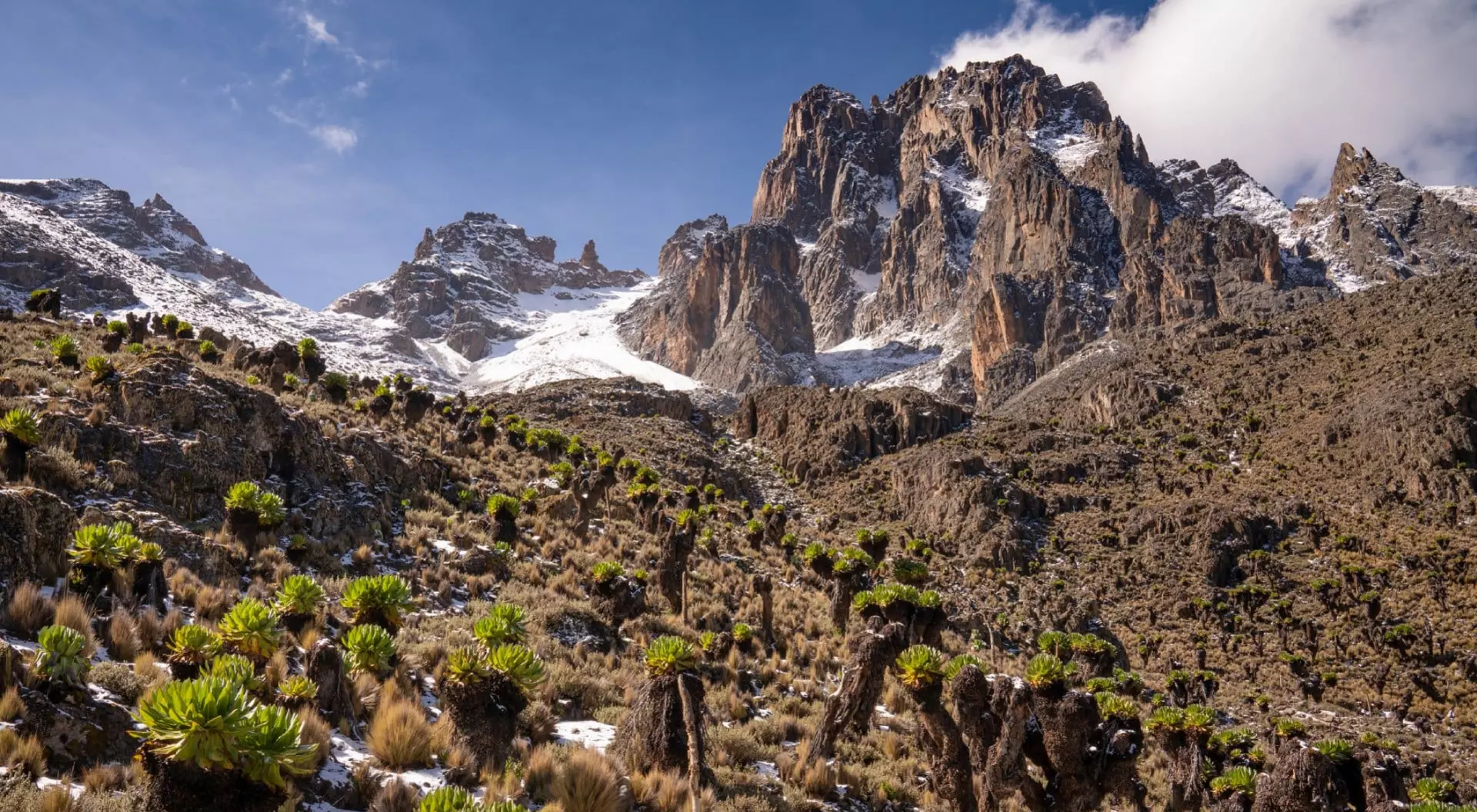 Mount Kenya National Park