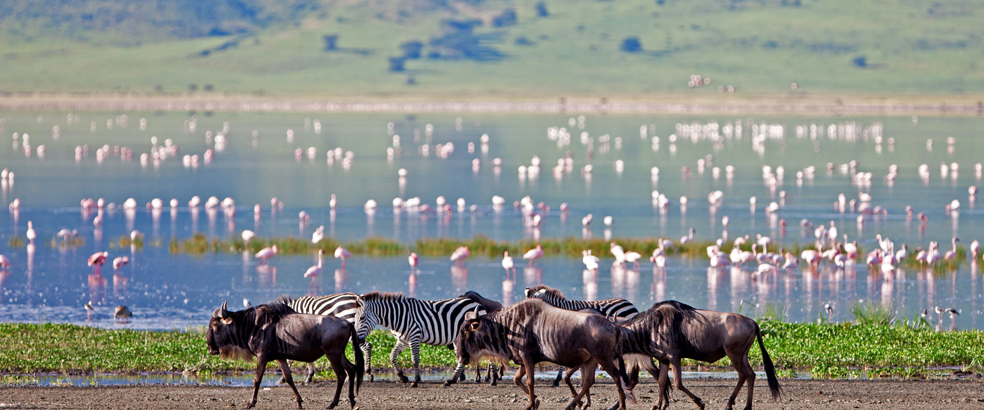 Ngorongoro Crater