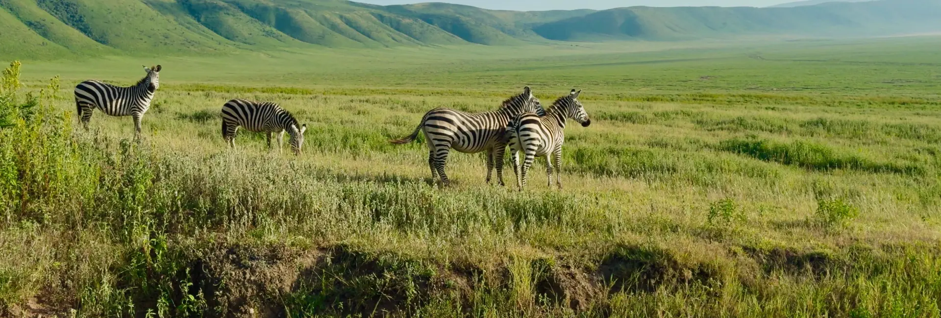 Ngorongoro Crater