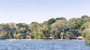 Rubondo Island