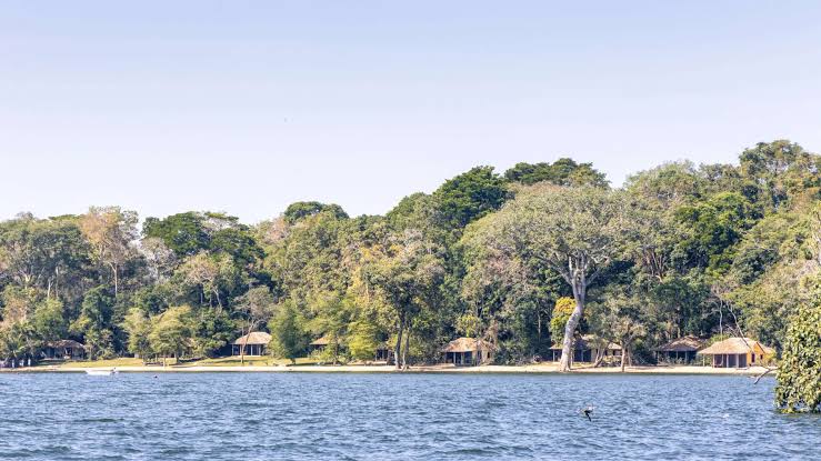 Rubondo Island