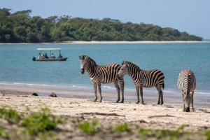 Saadani National Park
