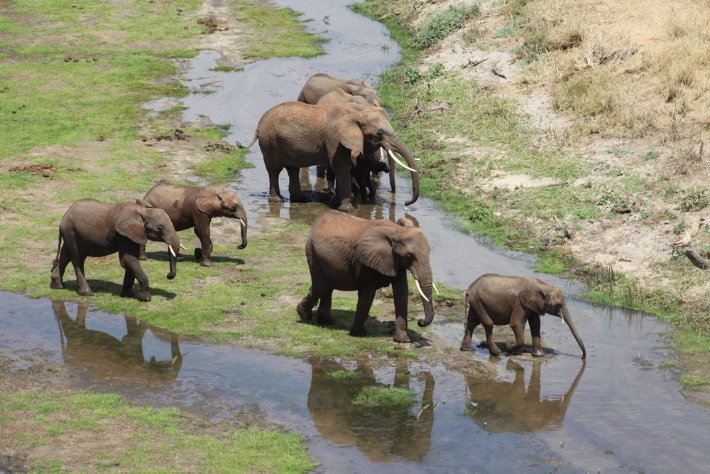 Tarangire National Park