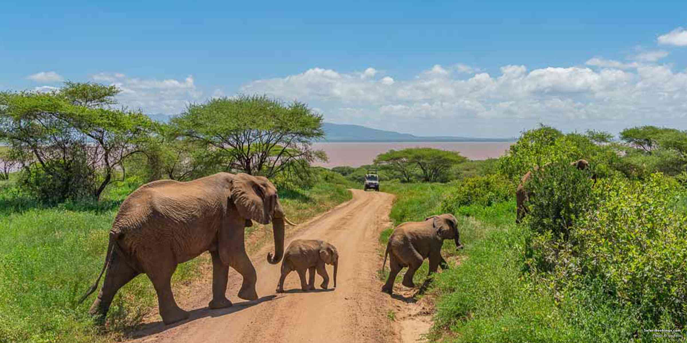 Tarangire National Park