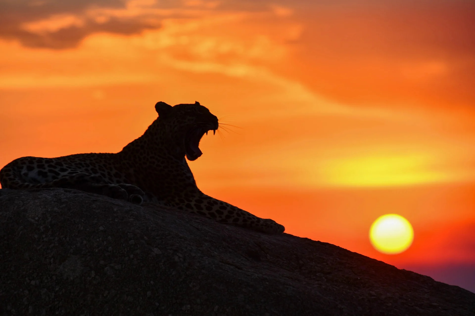 Luxury safari camp