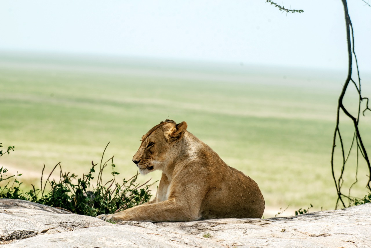Beach in Tanzania